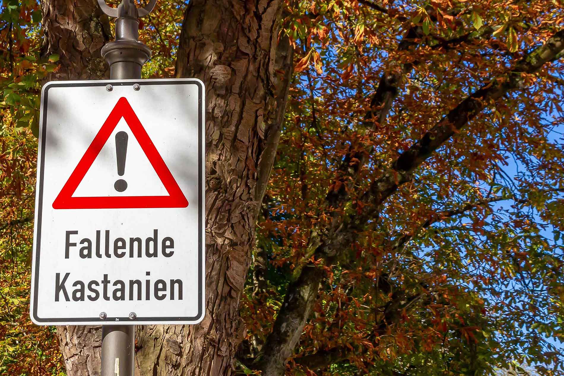 DIVERSE WEITERE SCHÄDEN